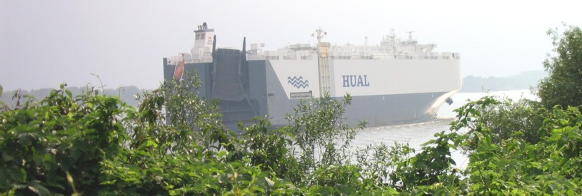 rorohualklein.jpg